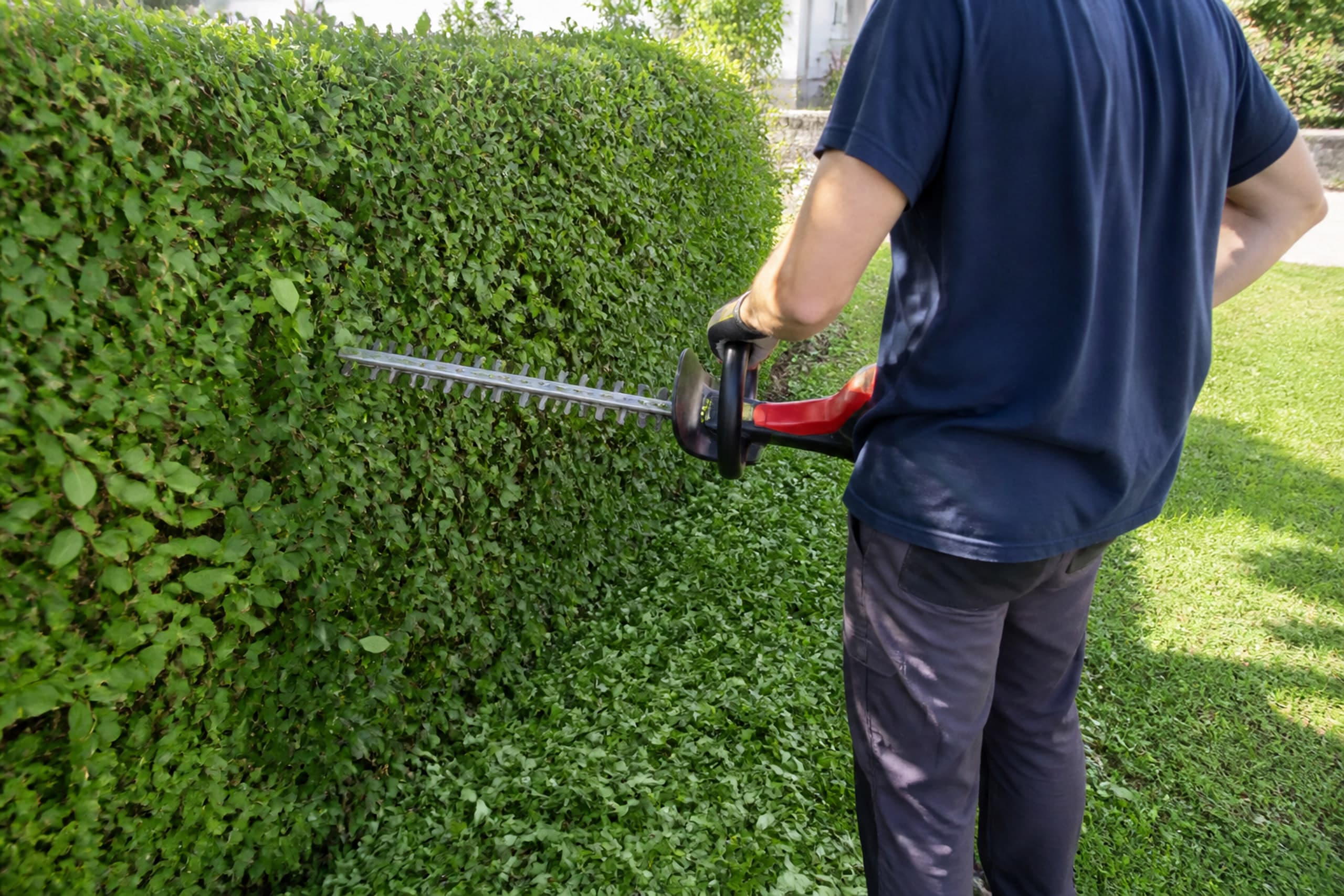 Heckenschnitt in einem Wohngarten, Person von hinten